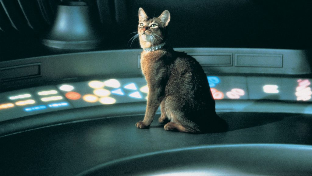 CAT FROM OUTER SPACE 2